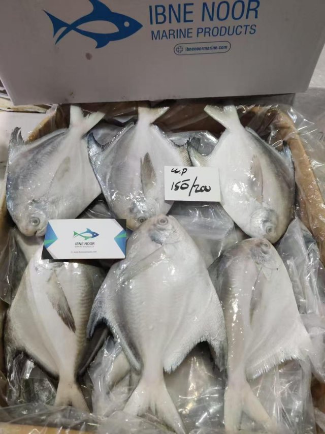 新货图片需要联系