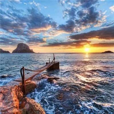 简要信息：
◆ 交通运输部、工业和信息化部、商务部、国务院国有资产监督管理委员会等部门印发《加快培育交通物流领军企业 提升产业链供应链服务保障能力行动方案》。
◆ 海关总署发布（关于进口韩国野生水产品检验和卫生要求的公告）。
◆ 2026年2月1日起，《农产品质量安全承诺达标合格证管理办法》正式施行。水果、禽蛋、养殖水产品等六大类核心农产品将带“证”上市。
◆《科技成果转化为标准指南》（GB/T 